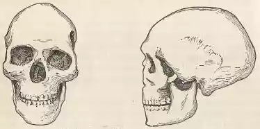 chapter-II-plate1b